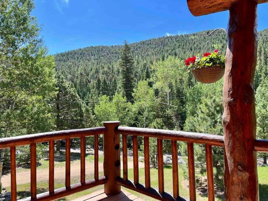 הוילה ליונס Classic Log Cabin Near Rocky Mountain National Park And Near Skiing מראה חיצוני תמונה