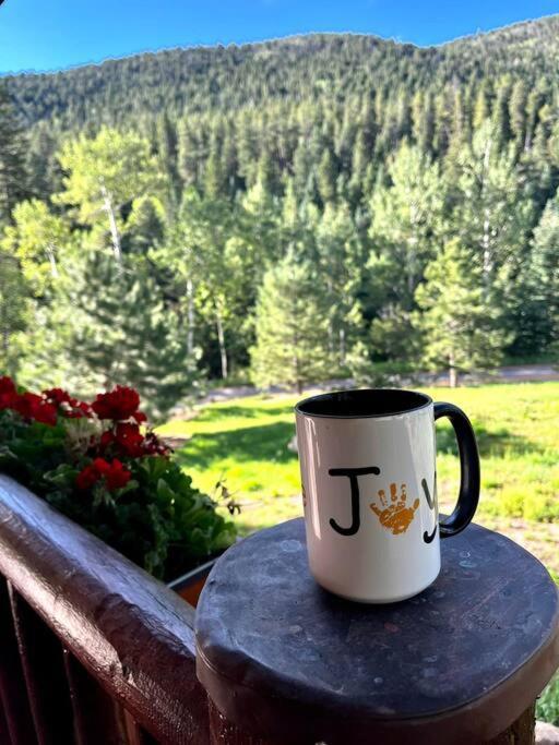 הוילה ליונס Classic Log Cabin Near Rocky Mountain National Park And Near Skiing מראה חיצוני תמונה